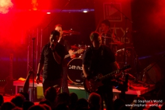 24th Frame - Zurlauben 2011