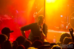 24th Frame - Zurlauben 2011