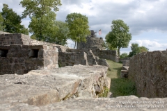 MG_1241