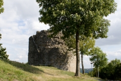 MG_1246