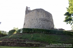 MG_1269