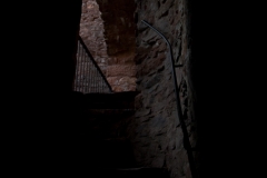 MG_0524