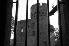 MG_0526