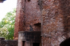 MG_0533
