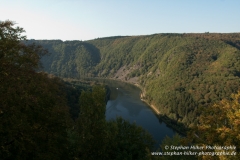 MG_0548