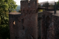 MG_0551