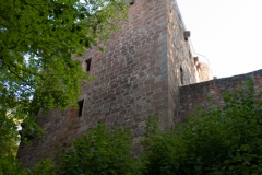 MG_0570