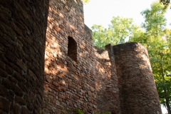MG_0577