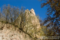 MG_4146