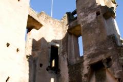 MG_4154