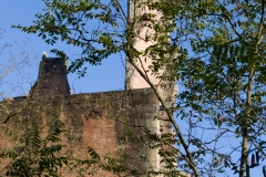 MG_4178