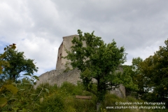 MG_1280