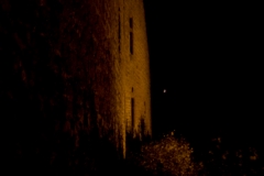 MG_5450