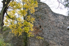 MG_4989