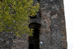 MG_5034