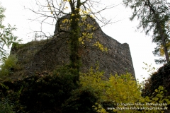 MG_5193