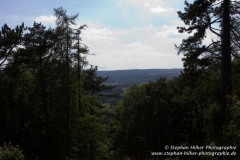 MG_0944