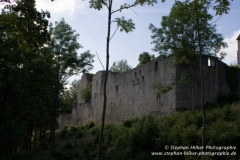 MG_0950