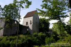MG_0951