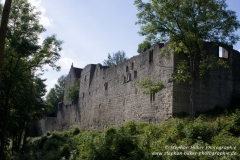 MG_0953