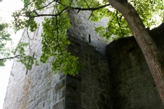 MG_0955