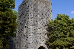 MG_0959